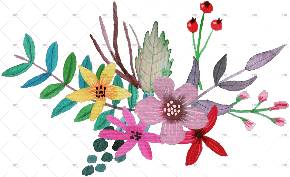 多彩花束PNG免抠图预览图