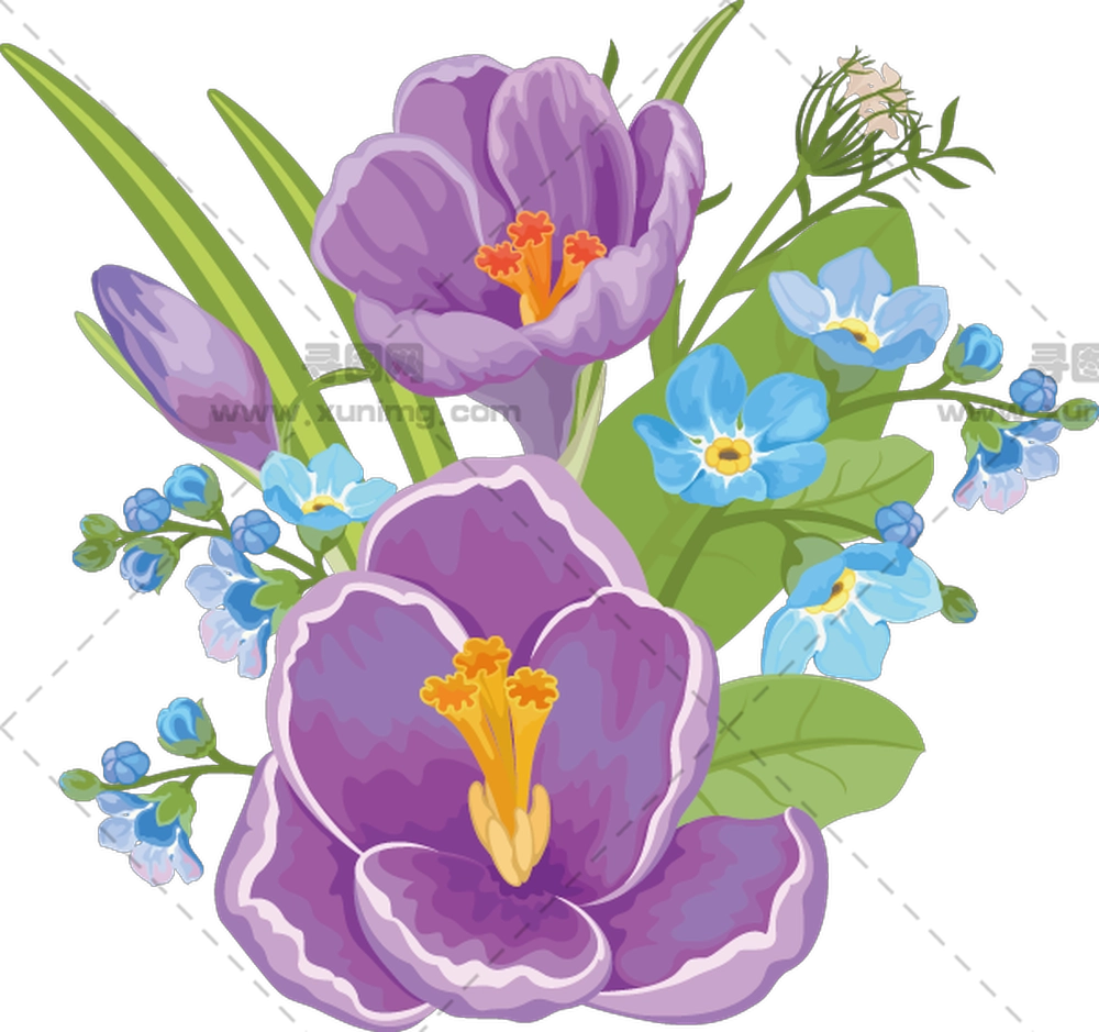 紫色和蓝色花朵的花束PNG免抠图预览图