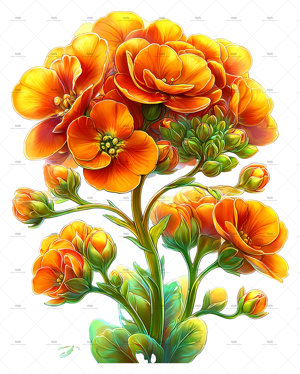 璀璨三色堇 – 生机勃勃的橙色花朵花束插画PNG免抠图预览图