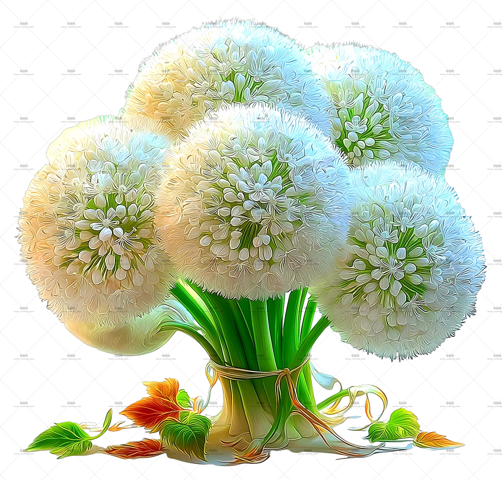 璀璨葱兰 – 柔软白色绒球花束PNG免抠图预览图