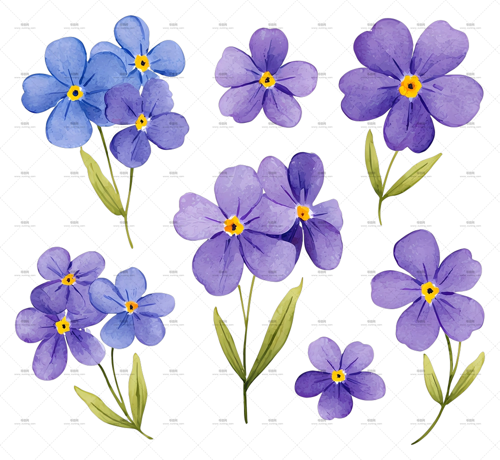 水彩勿忘我 – 紫色花束PNG免抠图预览图