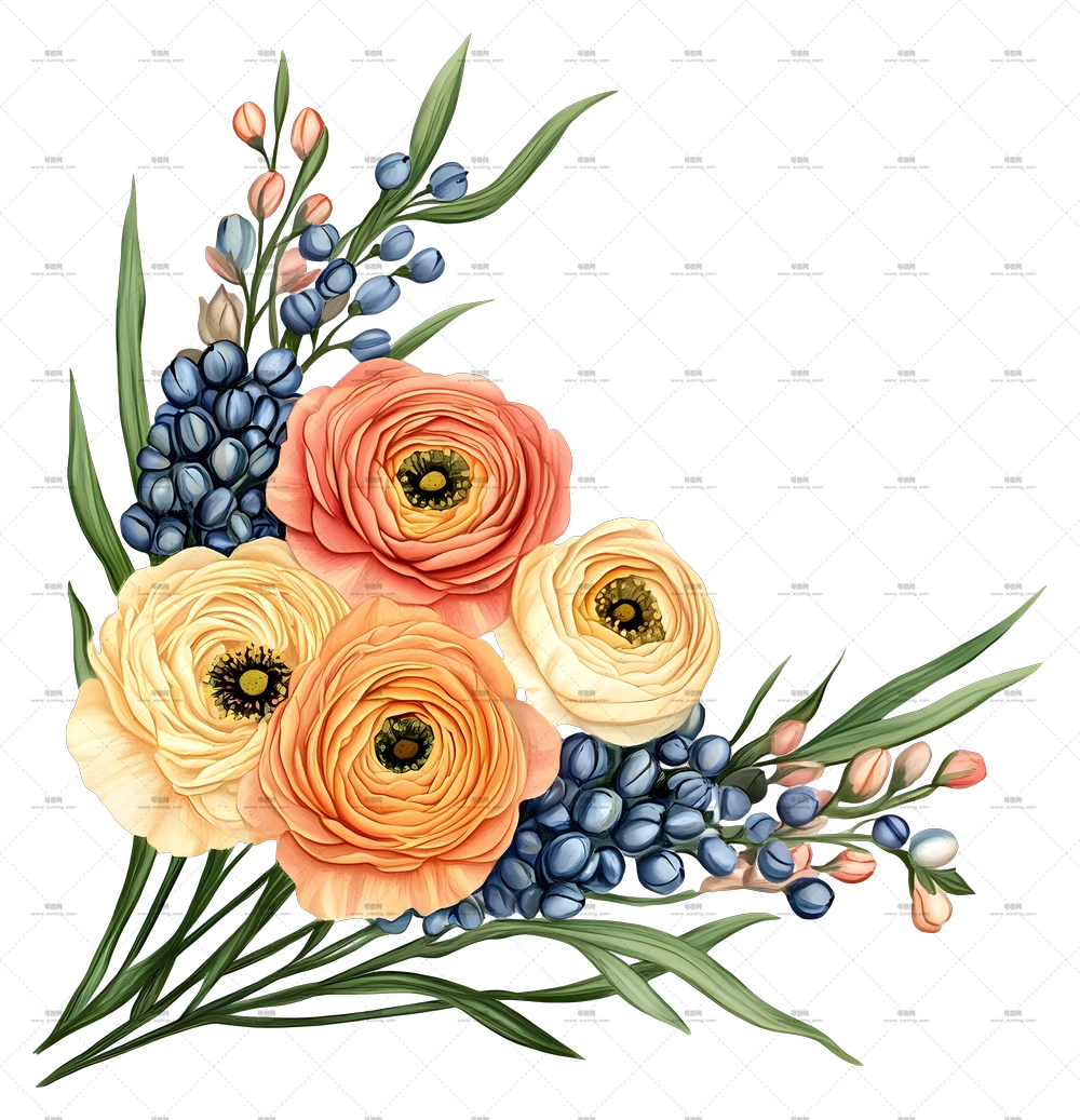 毛茛 – 带浆果的多彩花束PNG免抠图预览图