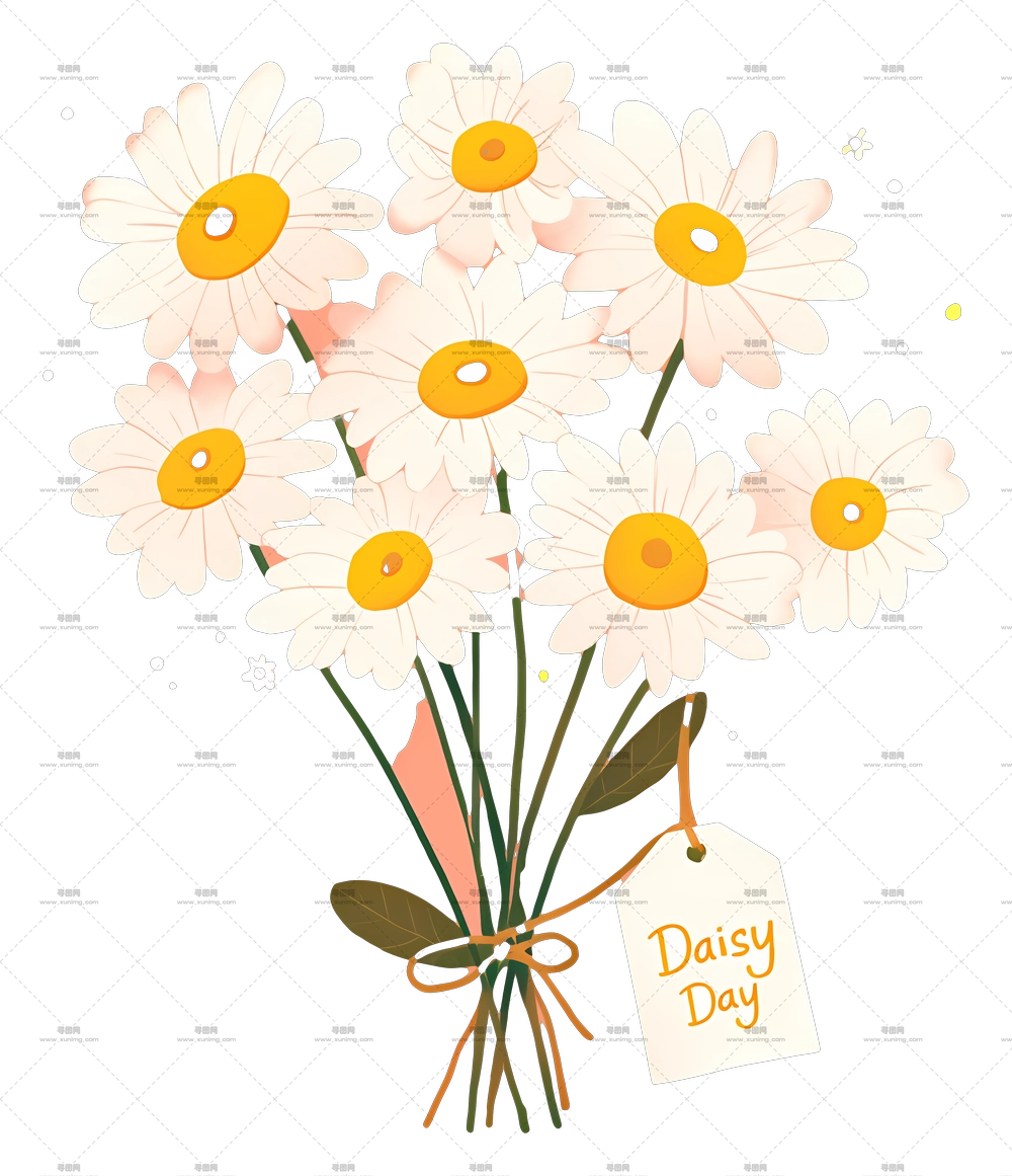 雏菊日 – 美丽雏菊束插画PNG免抠图预览图