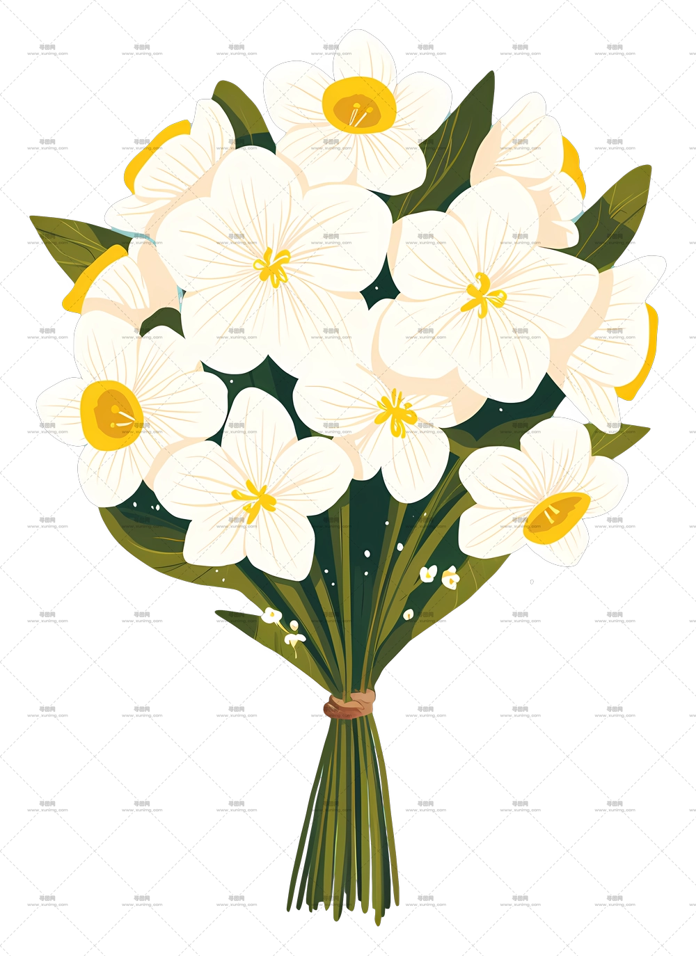 白花 – 春季美丽郁金香花束PNG免抠图预览图