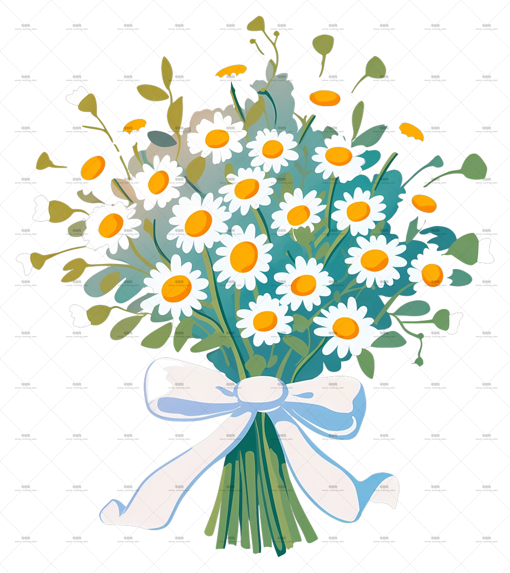雏菊花束 – 带丝带的雏菊花束PNG免抠图预览图