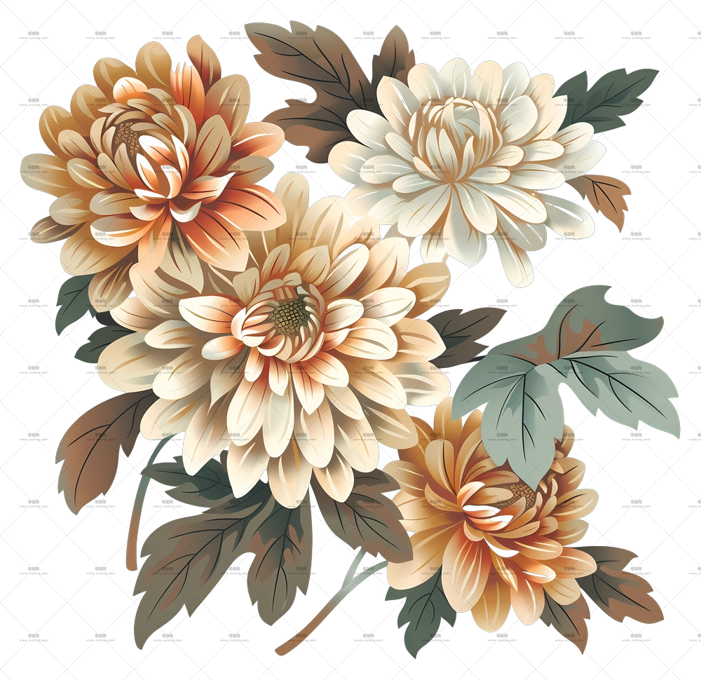 菊花 – 艺术风格金色菊花束PNG免抠图预览图