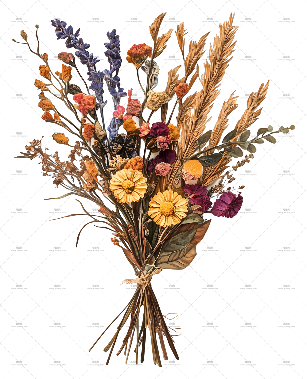 干花艺术 – 复古干花束，色彩鲜艳PNG免抠图预览图