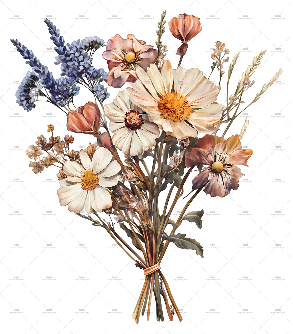 干花艺术 – 乡村风格野花束PNG免抠图预览图