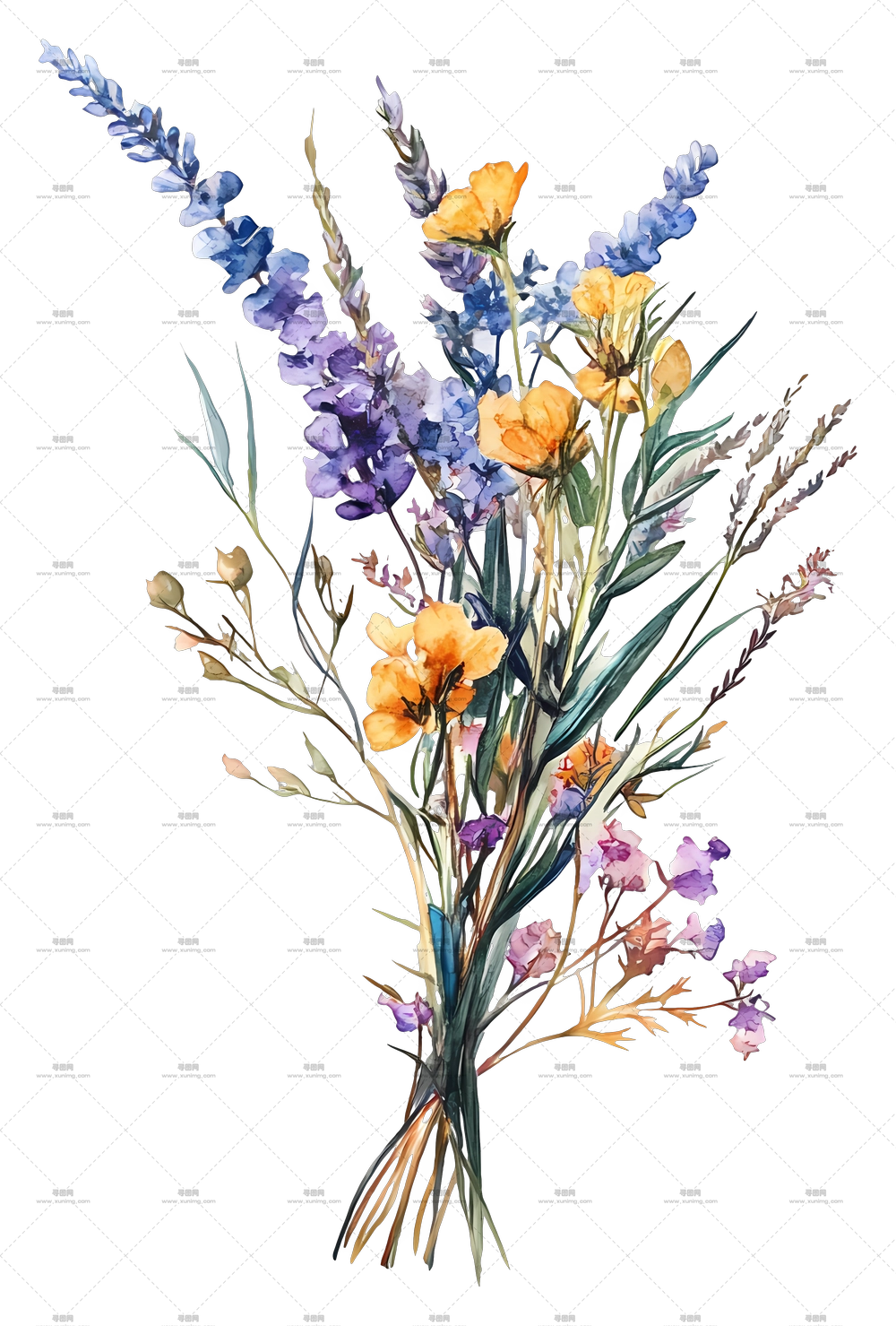 干花艺术 – 水彩野花束插画PNG免抠图预览图