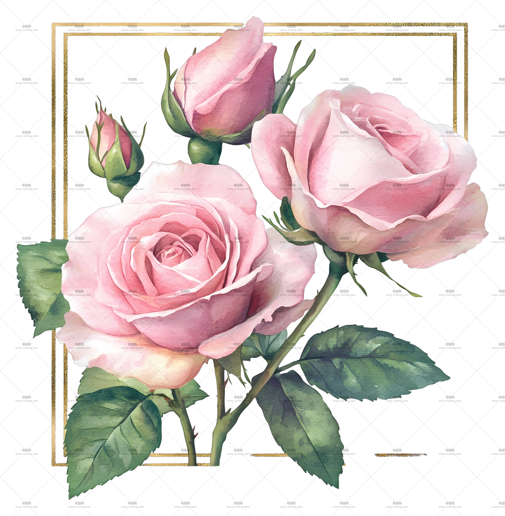 金框 – 粉色玫瑰花束PNG免抠图预览图