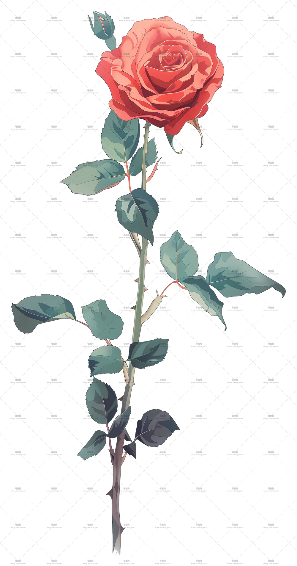 单玫瑰 – 多彩花卉束PNG免抠图预览图