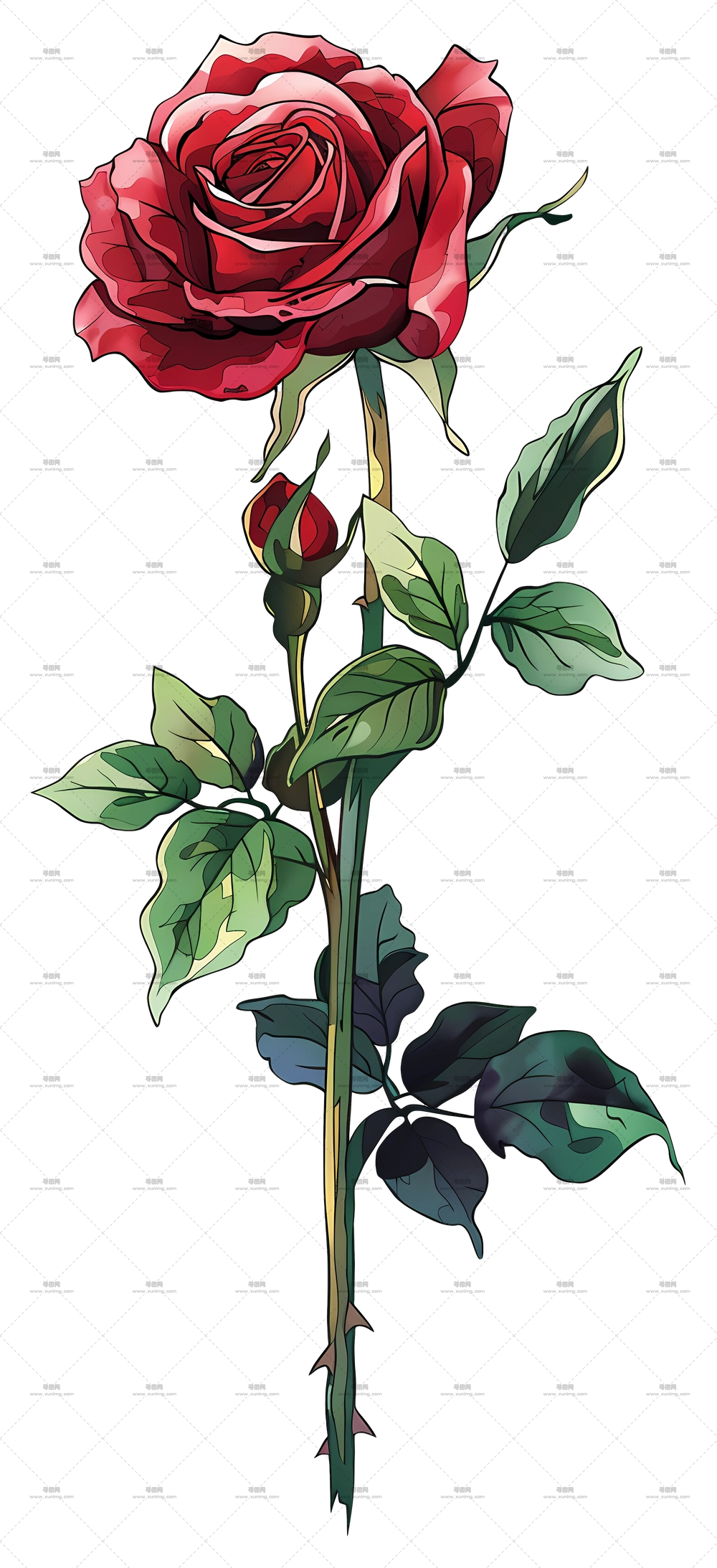 单朵玫瑰 – 花团锦簇PNG免抠图预览图