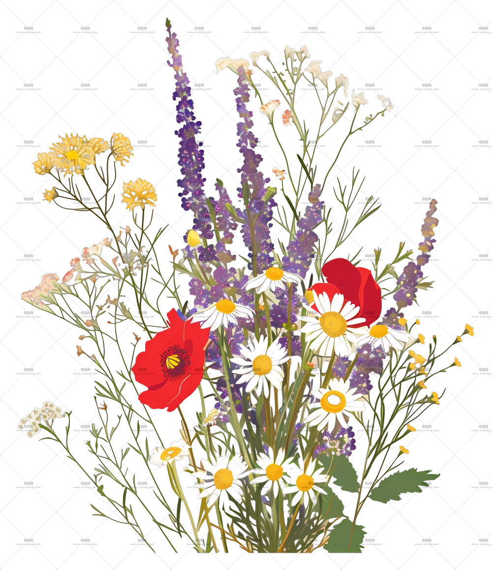 野花 – 色彩鲜艳的野花束PNG免抠图预览图