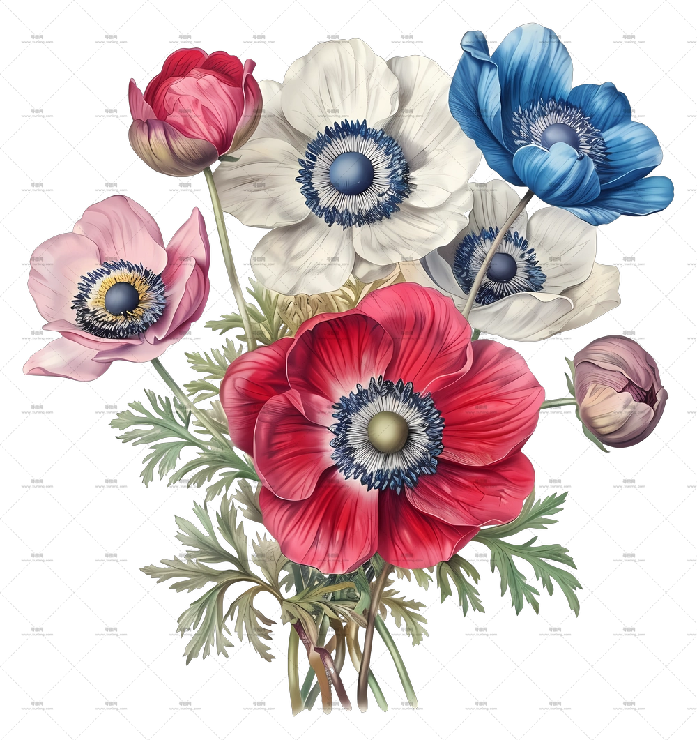 复古花卉 – 精细艺术作品中的风信子花束PNG免抠图预览图