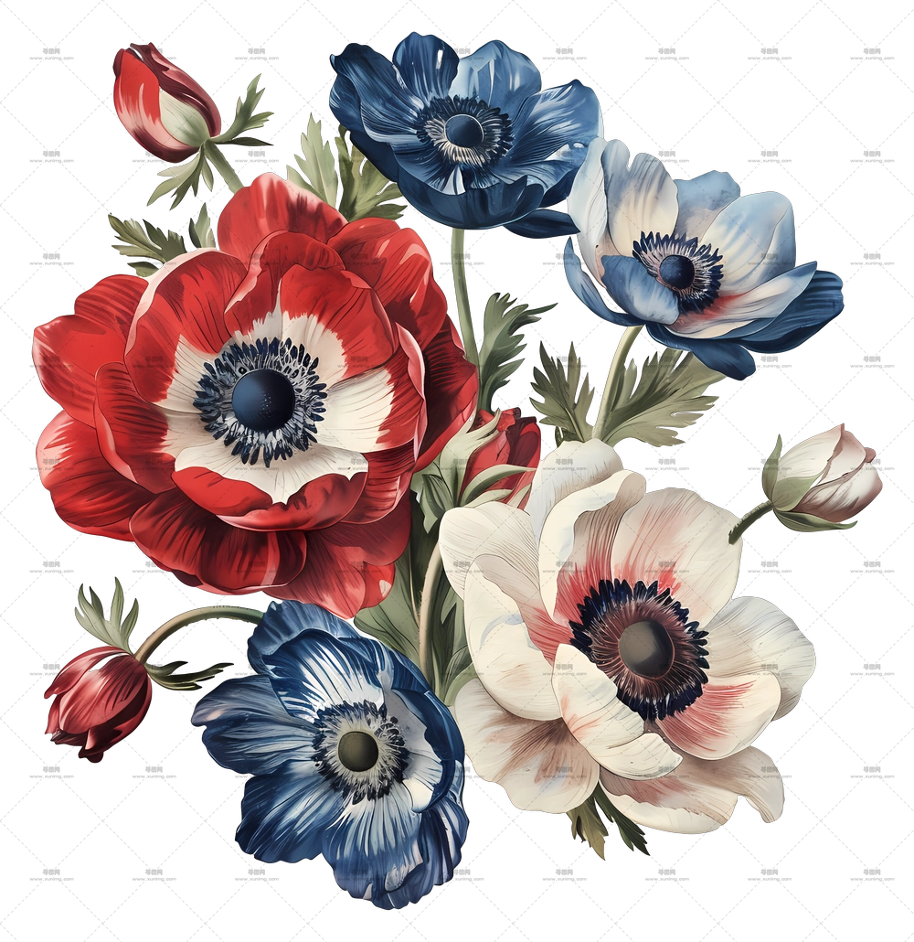 复古花卉 – 多彩风信子花束插画PNG免抠图预览图