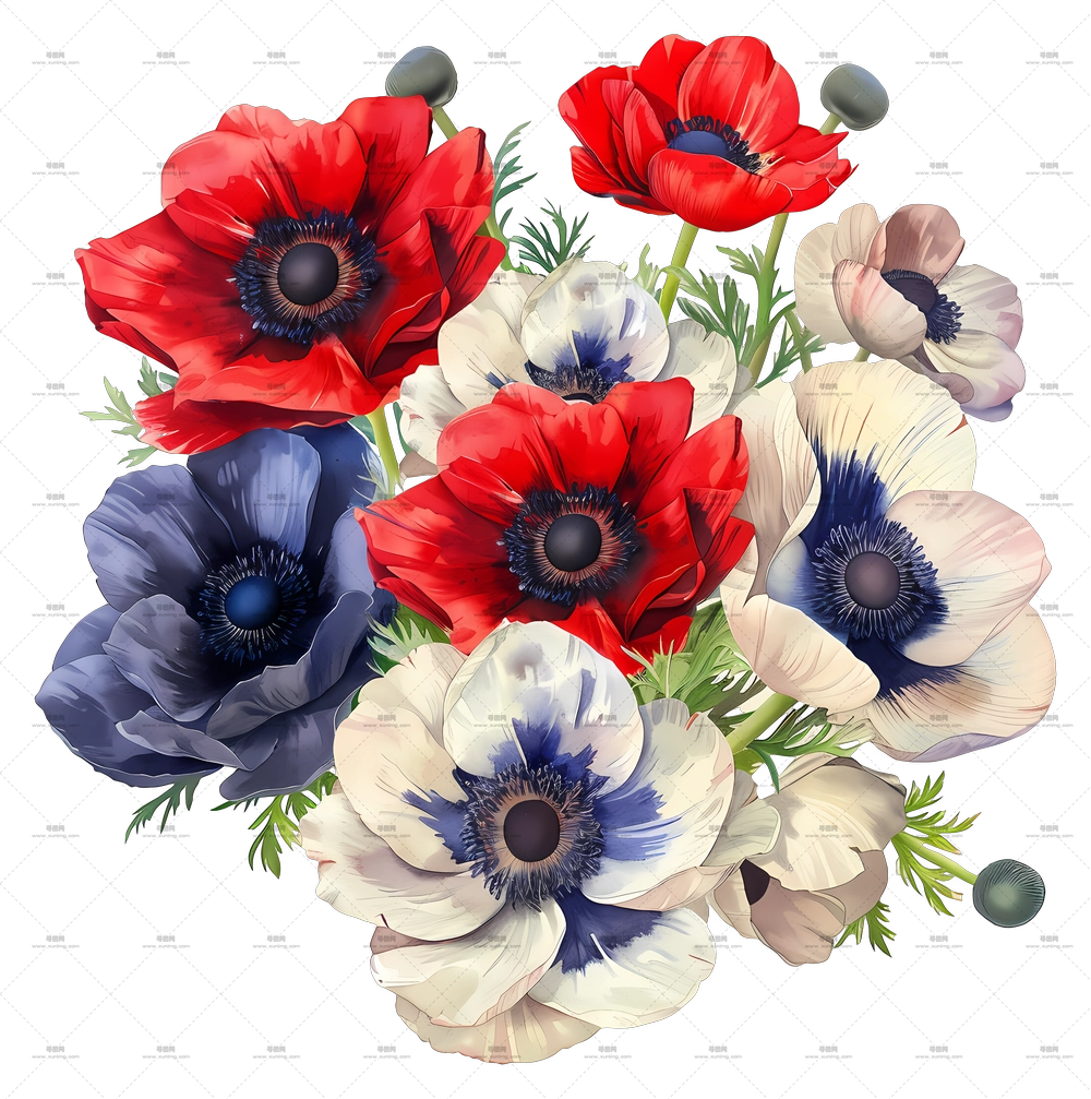 复古花卉 – 红蓝白风信子优雅花束PNG免抠图预览图