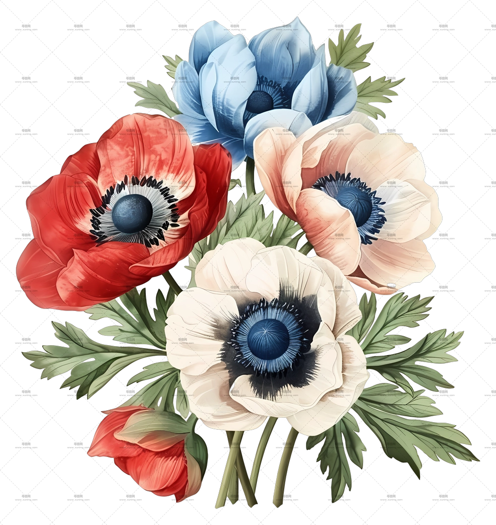 复古花卉 – 红蓝白风信子花束PNG免抠图预览图