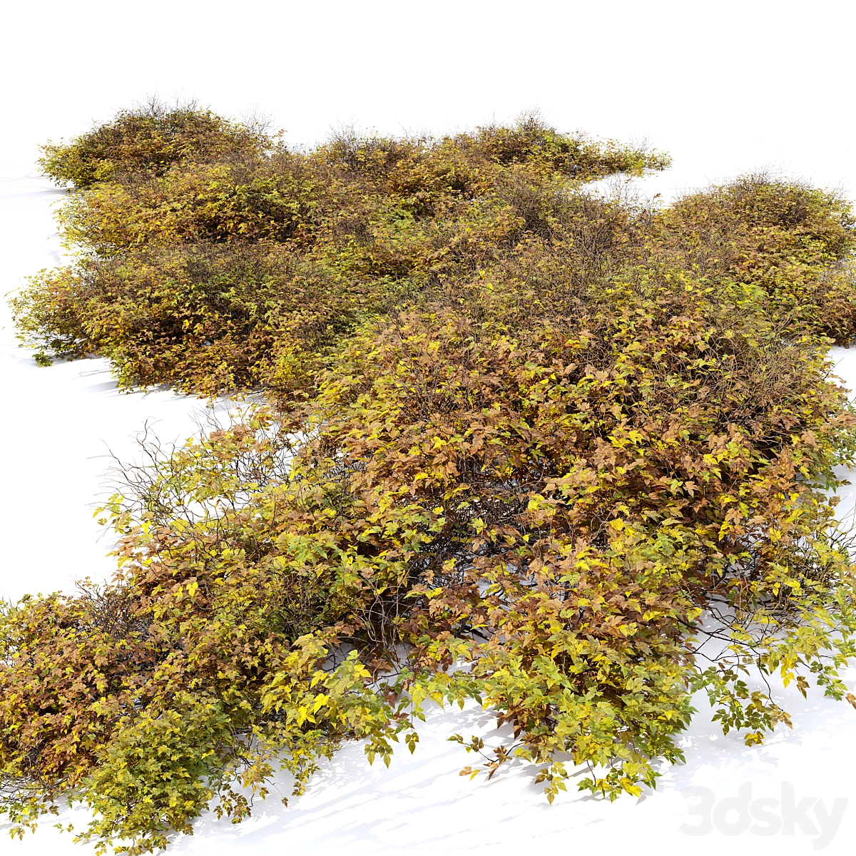 灌木024 3D模型预览图1 灌木024 3D模型预览图1